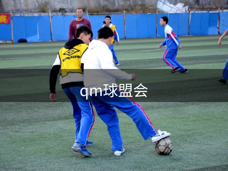 企业使命